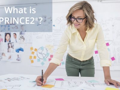 Project Management With PRINCE2 Principles Explained Dublin