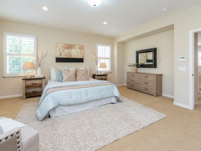 Tranquil Bedroom Environment