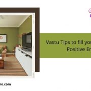 Vastu solution astrologer in Maharashtra