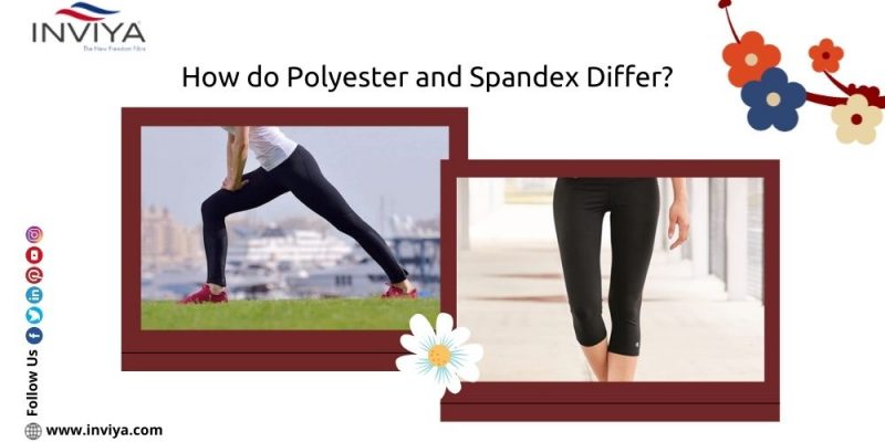 polyester spandex pants