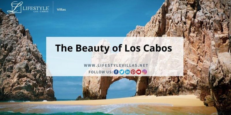 vacation home rentals los cabos