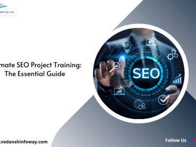 seo project training