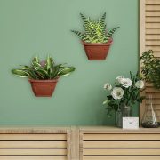 wall hanging planters