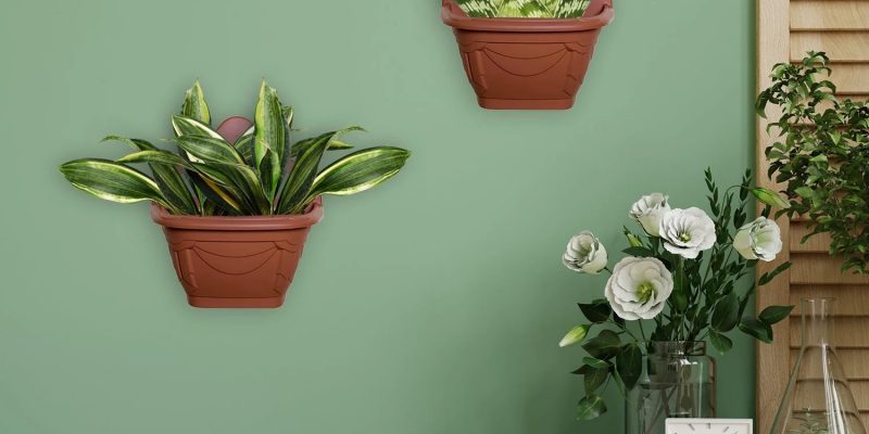 wall hanging planters