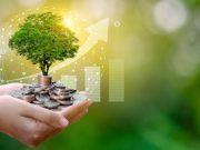 Professional Search for Green Economy