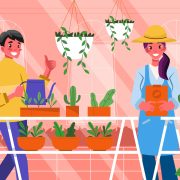Bamboo Planters: How to Choose, Use & Style for Growth