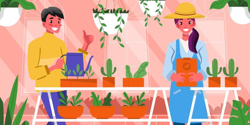 Bamboo Planters: How to Choose, Use & Style for Growth