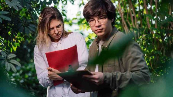 Why Green Sector Professional Search Is Reshaping the Future Workforce