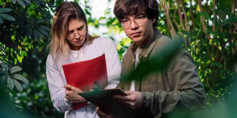 Why Green Sector Professional Search Is Reshaping the Future Workforce